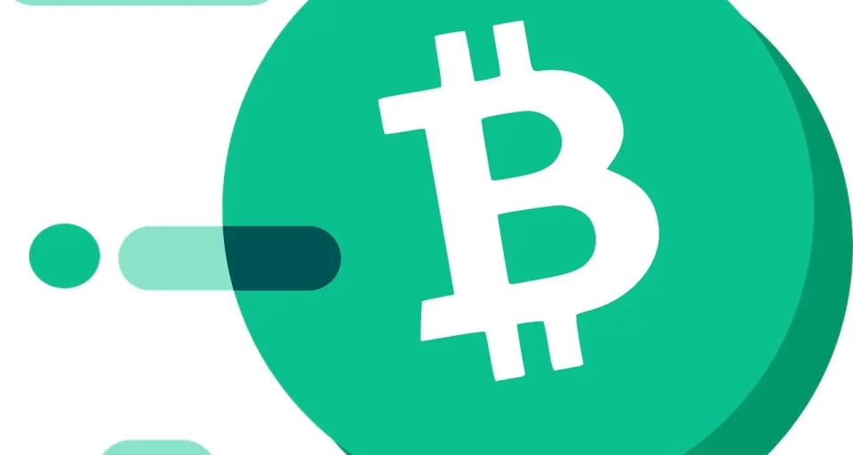 Прогноз развития и стоимости Bitcoin Cash на период 2023-2031 годов: ключевые моменты и перспективы